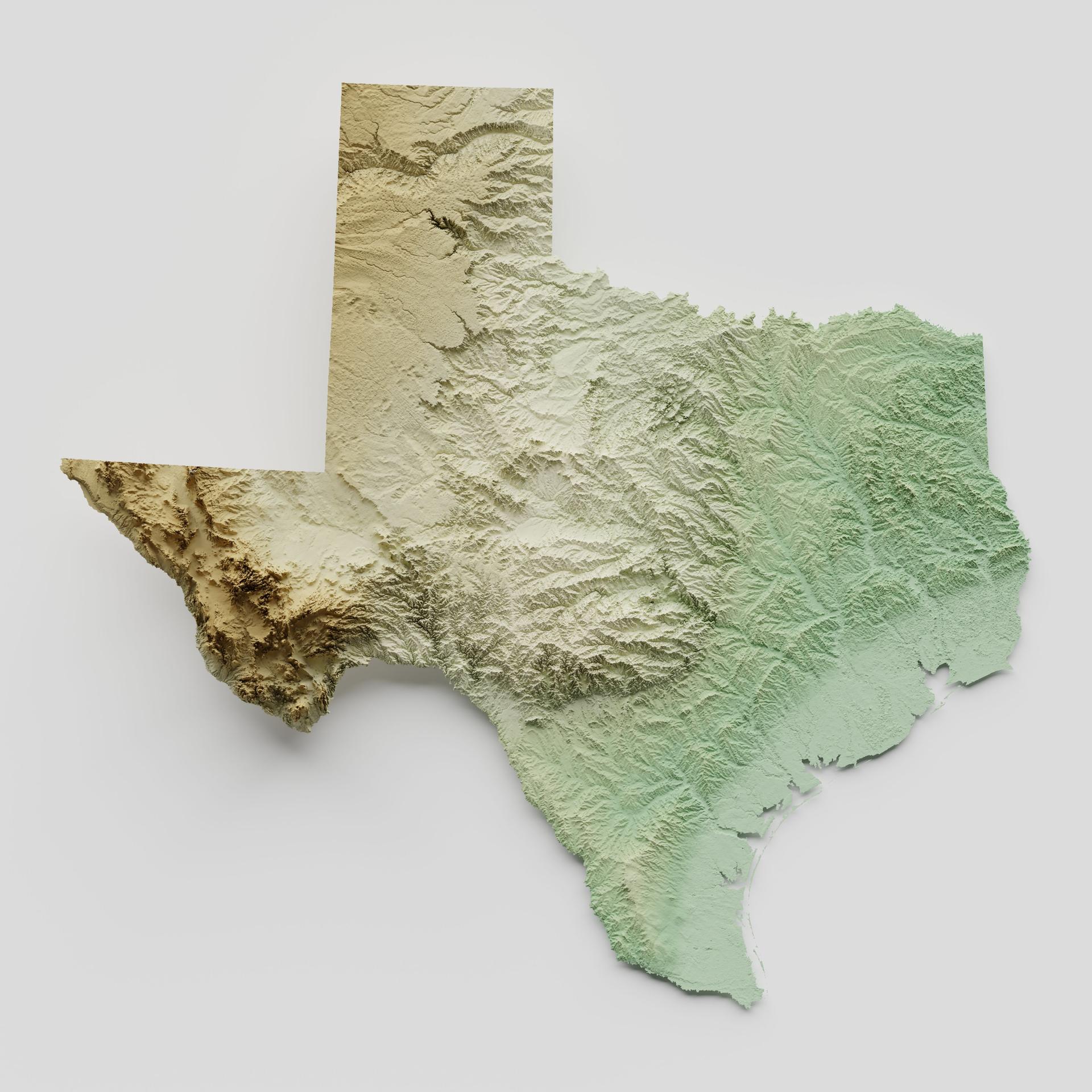 Texas Topographic Relief Map - 3D Render
